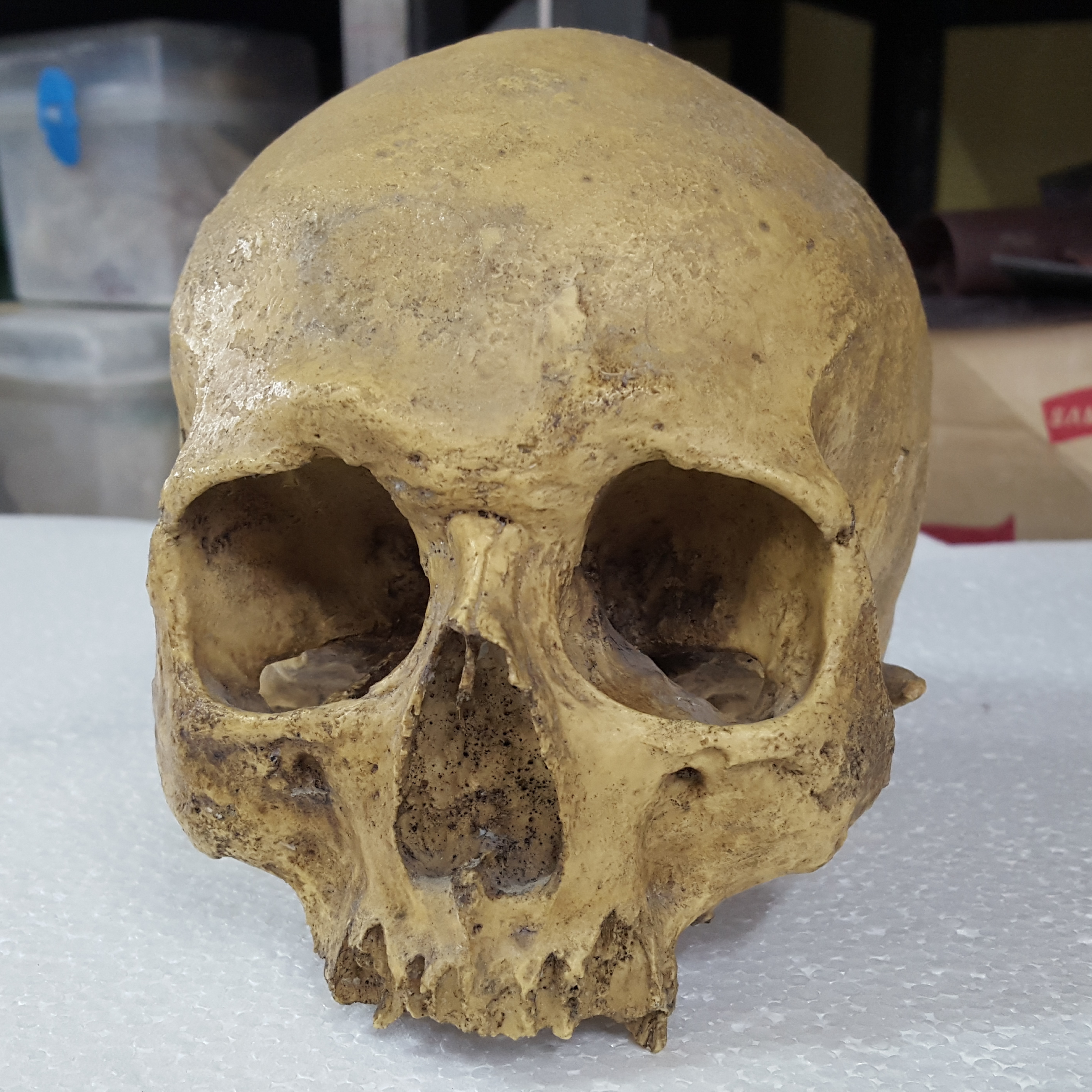 263ca52f07b8d3de641e9a164949174d_1443179222_1927.jpg 263ca52f07b8d3de641e9a164949174d_1443179222_1927_6-2_H-2.jpg