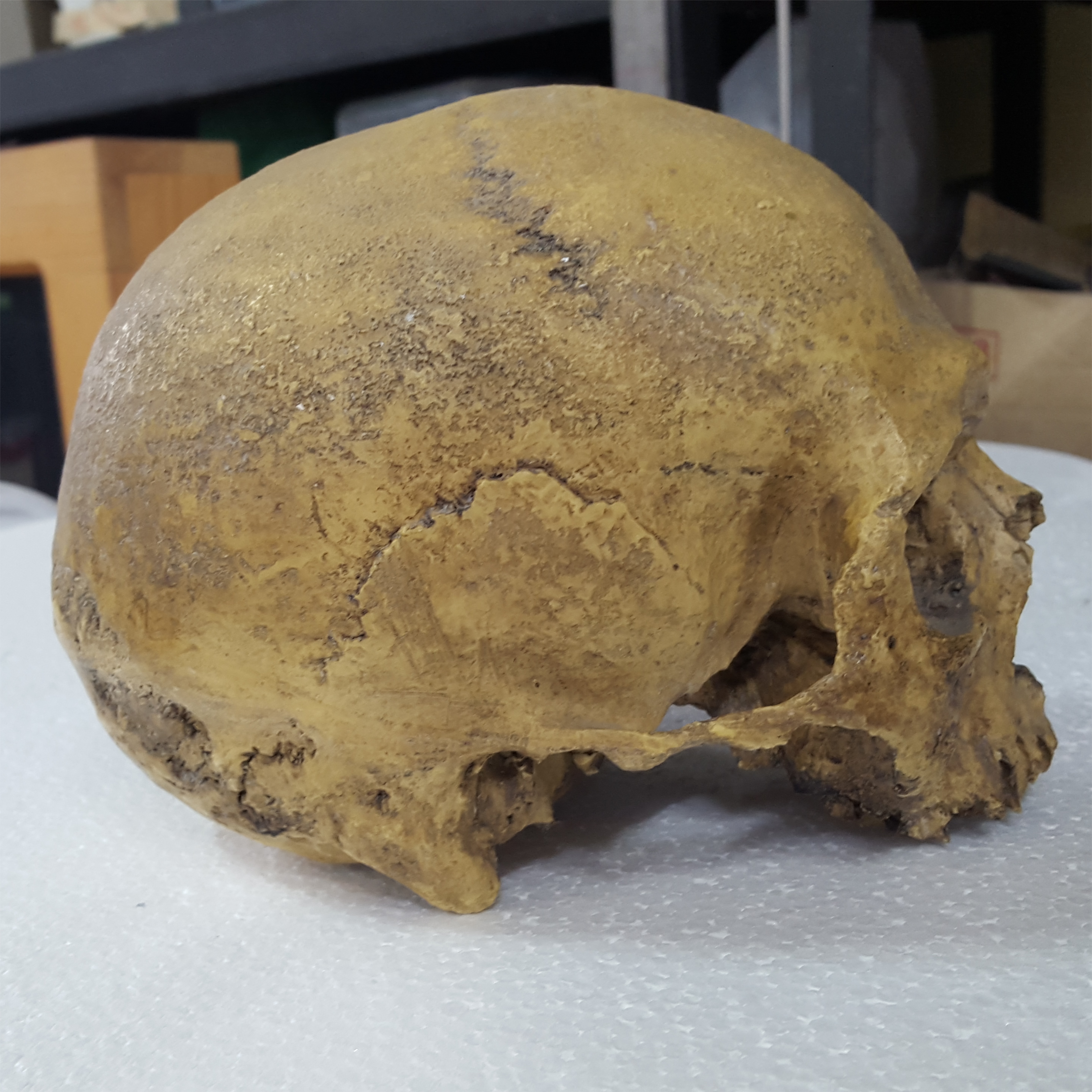 263ca52f07b8d3de641e9a164949174d_1443179225_4626.jpg 263ca52f07b8d3de641e9a164949174d_1443179225_4626_6-2_H-2.jpg