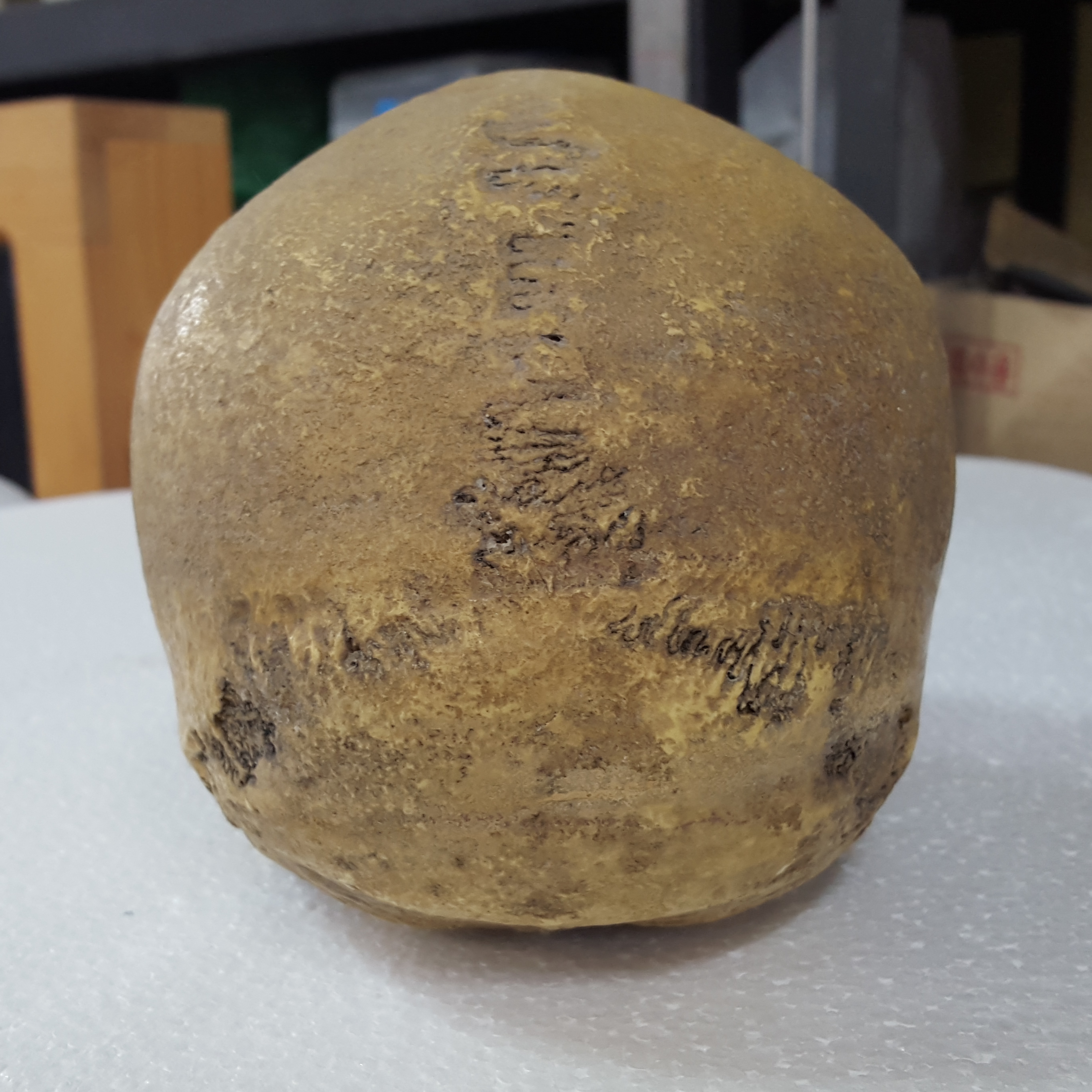 263ca52f07b8d3de641e9a164949174d_1443179227_6645.jpg 263ca52f07b8d3de641e9a164949174d_1443179227_6645_6-2_H-2.jpg