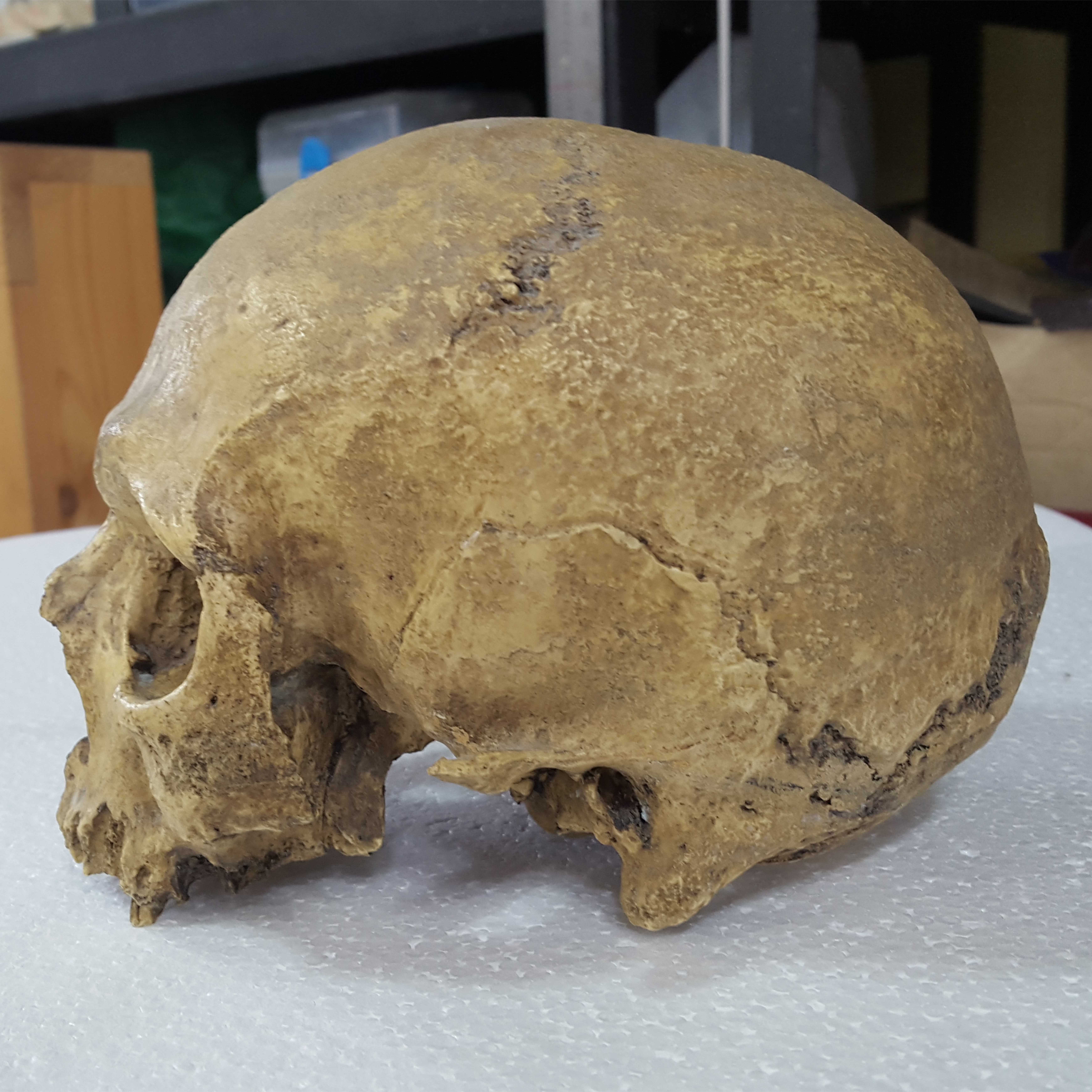 263ca52f07b8d3de641e9a164949174d_1443179230_1078.jpg 263ca52f07b8d3de641e9a164949174d_1443179230_1078_6-2_H-2.jpg