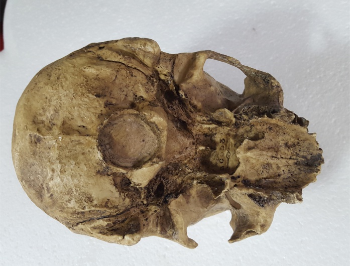 263ca52f07b8d3de641e9a164949174d_1443179231_7497.jpg 263ca52f07b8d3de641e9a164949174d_1443179231_7497_6-2_H-2.jpg