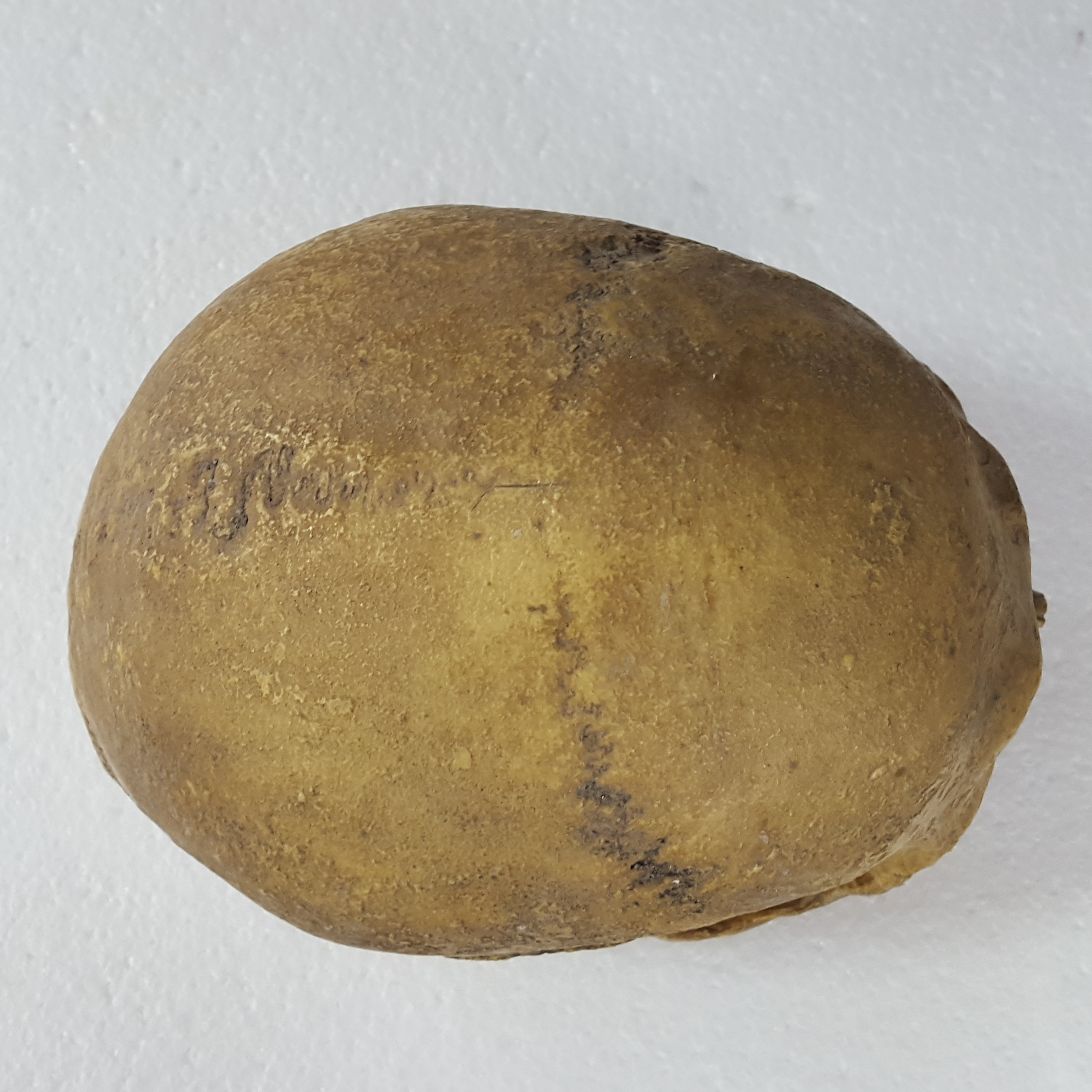 263ca52f07b8d3de641e9a164949174d_1443179236_2054.jpg 263ca52f07b8d3de641e9a164949174d_1443179236_2054_6-2_H-2.jpg